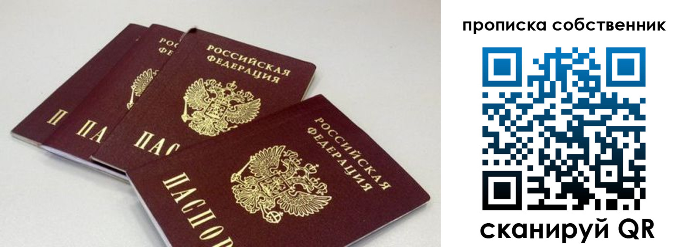 где прописаться в Волгоградской области